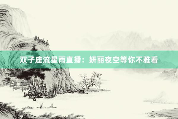 双子座流星雨直播：妍丽夜空等你不雅看