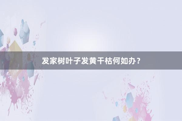 发家树叶子发黄干枯何如办？