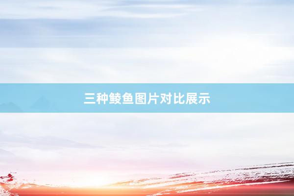 三种鲮鱼图片对比展示